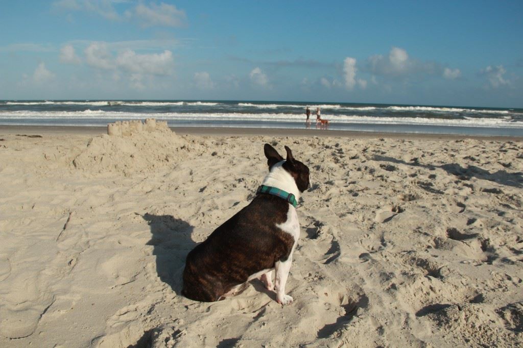 Driving the Beach in Ocracoke, North Carolina