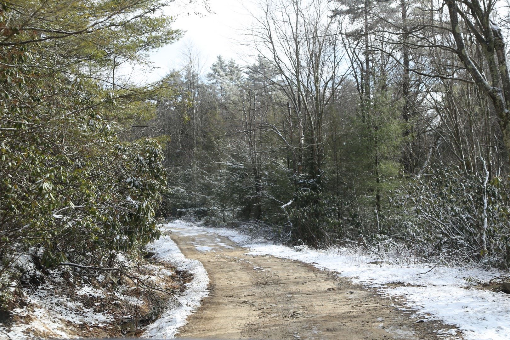 Monongahela National Forest Forest Road 18